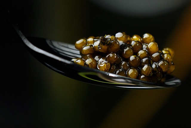 Le caviar d’Aquitaine symbole d'excellence gastronomique française